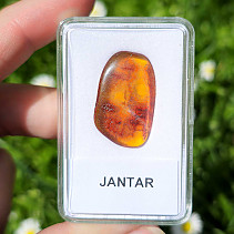 Polished amber from Lithuania 1.4g