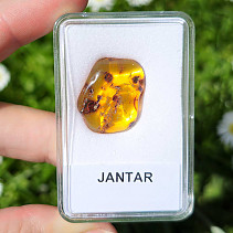 Polished amber (Lithuania) 1.8g