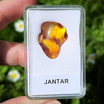 Polished amber (Lithuania) 1.4g