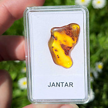 Polished amber 1.4g (Lithuania)