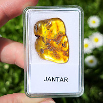 Polished amber (Lithuania) 2.4g