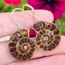 Ammonite clasp earrings Ag 925/1000 12.0g