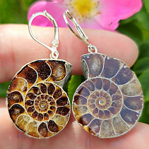 Ammonite clasp earrings Ag 925/1000 13.4g