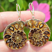 Ammonite clasp earrings Ag 925/1000 14.3g