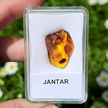 Polished amber from Lithuania (1.6g)