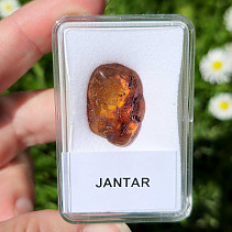 Polished amber from Lithuania 1.9g