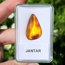 Polished amber (Lithuania) 1.3g