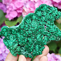 Malachite slice shiny Congo, Africa 182g