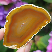 Brown agate slice from Brazil 20g