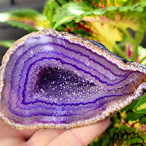 Agate geode with cavity dyed purple 180g