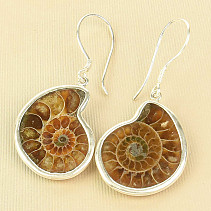 Ammonite earrings Ag 925/1000 5.7g