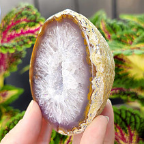 Brown agate geode with hollow 223g (Brazil)