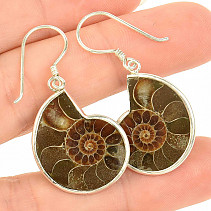 Dark ammonite earrings Ag 925/1000 7.4g