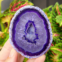 Agate geode with cavity dyed purple 189g