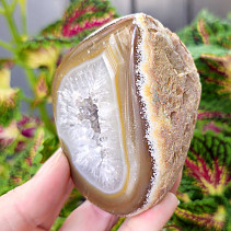 Brown agate geode with hollow 304g (Brazil)