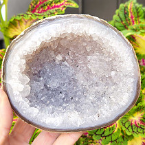 Agate and crystal geode (Brazil) 420g