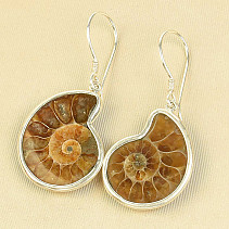 Ammonite earrings Ag 925/1000 6.0g