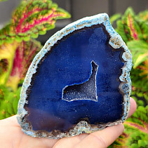 Agate blue dyed geode with cavity 229g