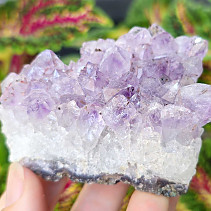 Amethyst druse (188g) from Brazil