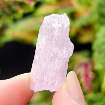 Kunzite crystal raw 6.0g from Pakistan