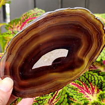 Agate polished brown slice from Brazil 104g