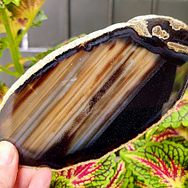 Polished agate slice from Brazil 143g