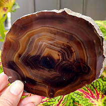 Polished agate slice from Brazil 183g