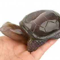 Agate turtle with cavity 297g