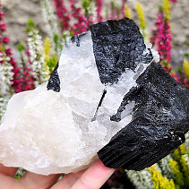 Black tourmaline in natural crystal (Brazil) 548g