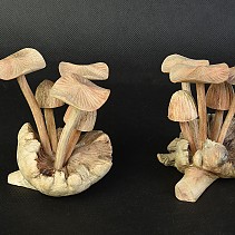 Mushrooms flat light wood 11 cm