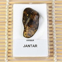 Selection Amber from Lithuania 1.87g