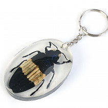 Key ring beetle TYP100