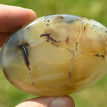 Agate with dendrite 111g