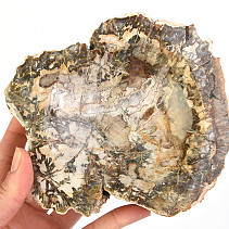 Miska zkamenělé dřevo 954g