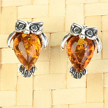 Earrings with amber owls Ag
