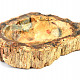 Zkamenělé dřevo miska (Madagaskar) 1018g