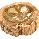 Petrified wood bowl (959g)