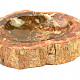 Petrified wood bowl (Madagascar) 1525g