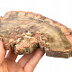Petrified wood slice (580g)