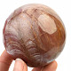 Fossilized wood balls Ø 74mm