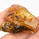 Amber extra selection Lithuania (13.5g)