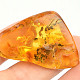 Amber from Lithuania extra (9.1g)