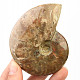 Collectible ammonite with opal shine 160g