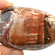 Petrified wood smooth stone 193g