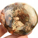 Petrified wood smooth stone 180g