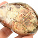 Zkamenělé dřevo hladký kámen 192g