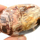 Zkamenělé dřevo hladký kámen 189g