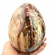 Petrified wood eggs 2446g