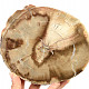 Zkamenělé dřevo plátek (1018g)