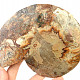 Ammonite half (Madagascar) 431g